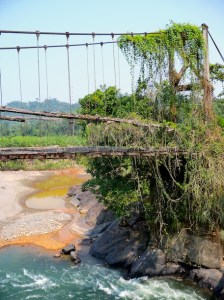 Bridge over a river in the cloud forest