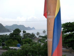 flag view